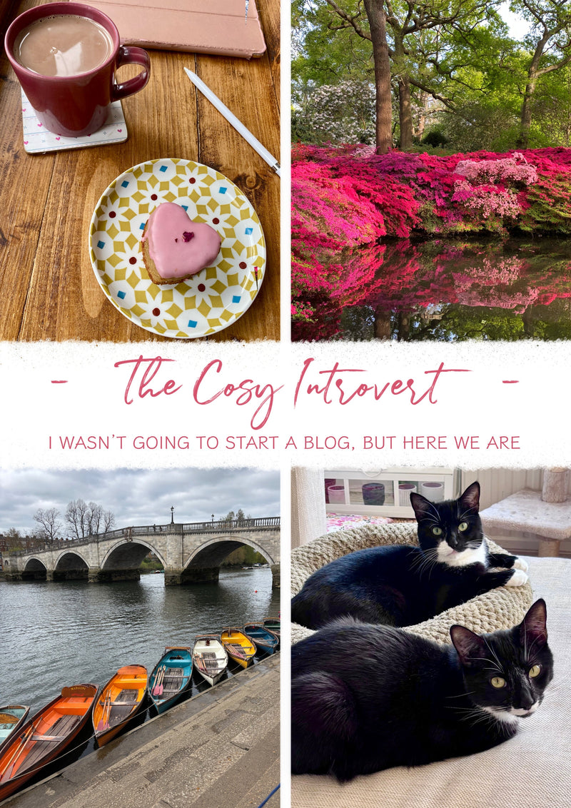 I Wasn’t Going to Start a Blog, But Here We Are