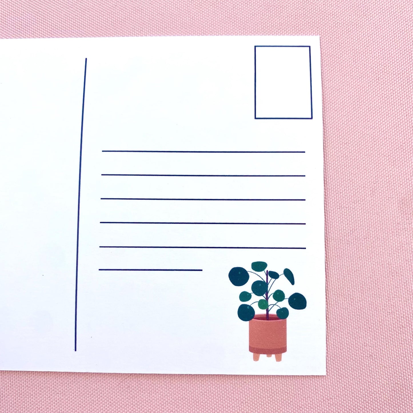 Postcard back with plant illustration on a pink background