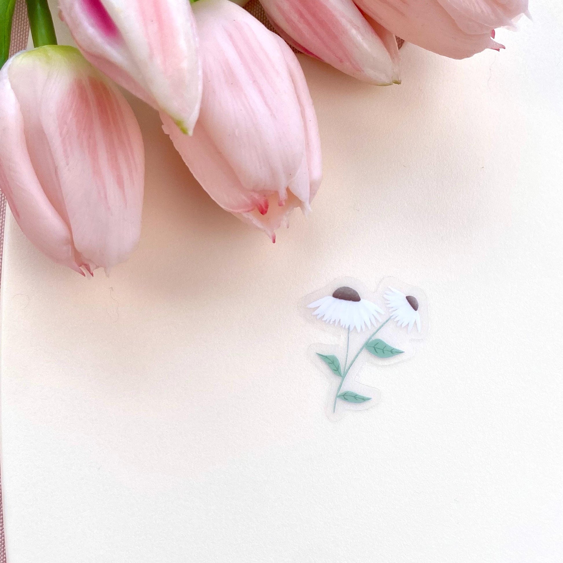 A clear sticker with daisies with white petals and green leaves on a white background