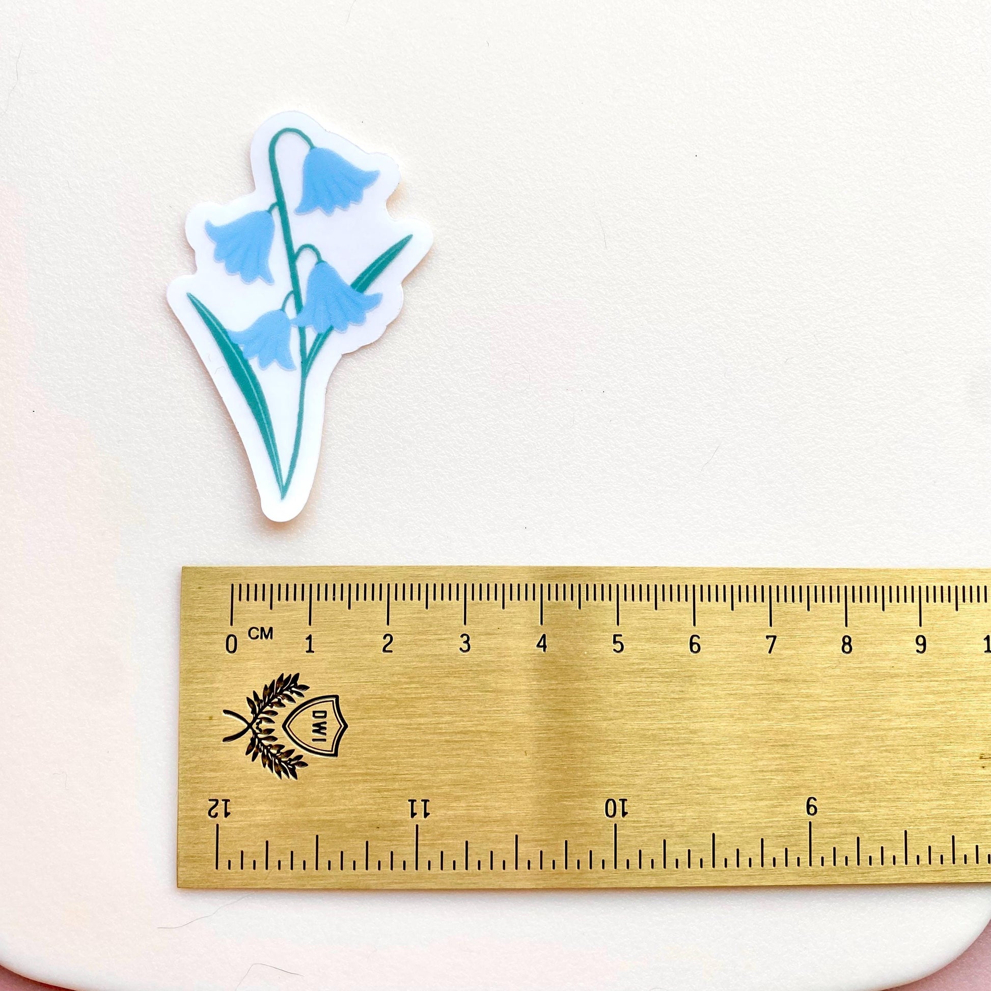 Bluebell sticker next to a ruler on a white background