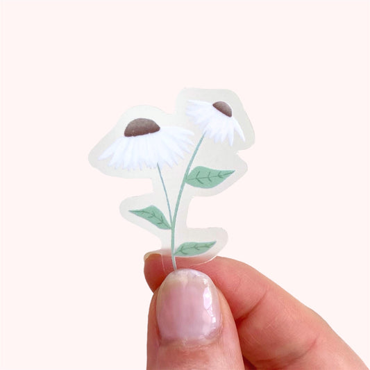 Hand holding a clear sticker with daisies with white petals and green leaves on a white background